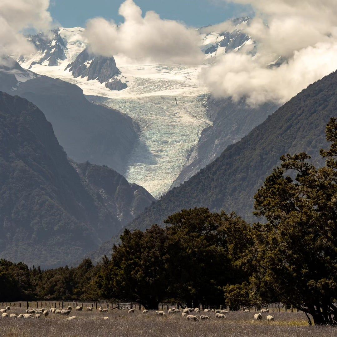 Fox Glacier view