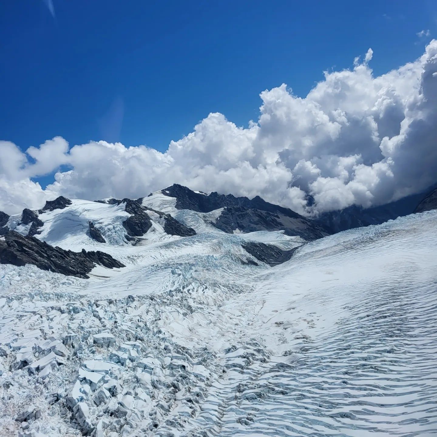 Fox Glacier view