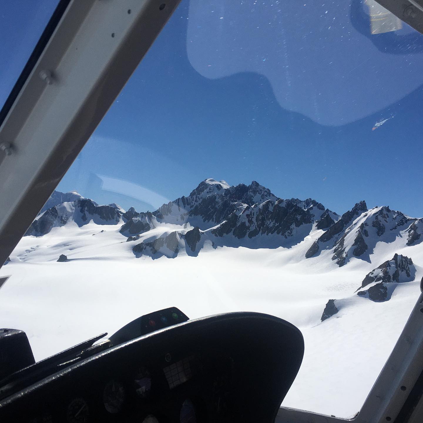 Fox Glacier tour visitor photo