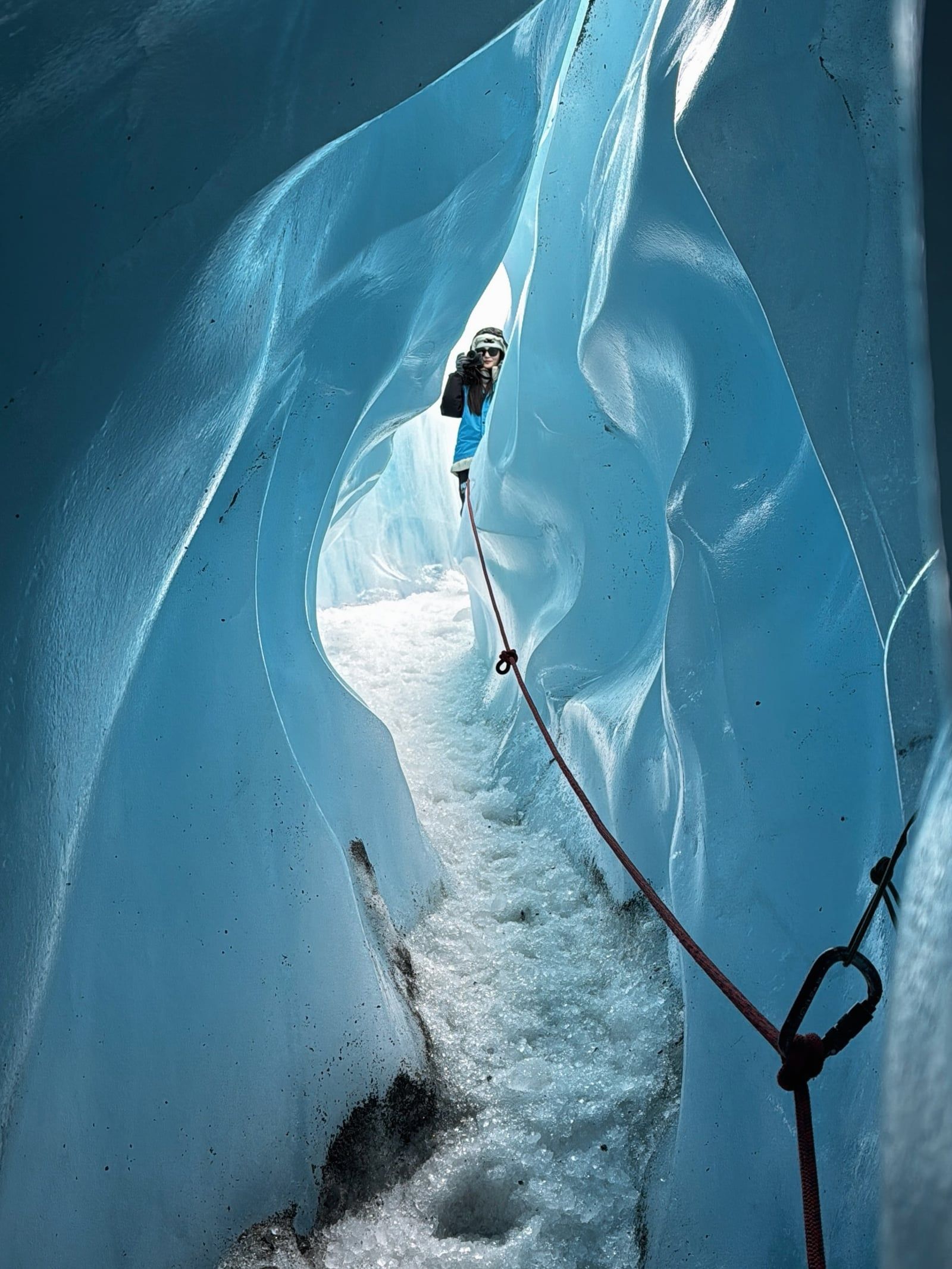 Fox Glacier tour visitor photo