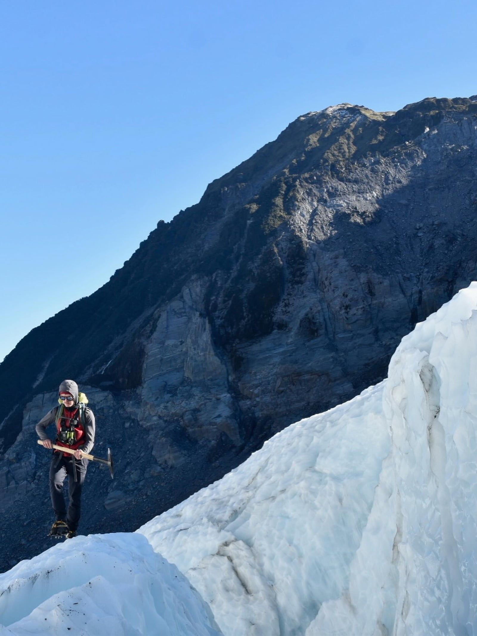 Fox Glacier tour visitor photo