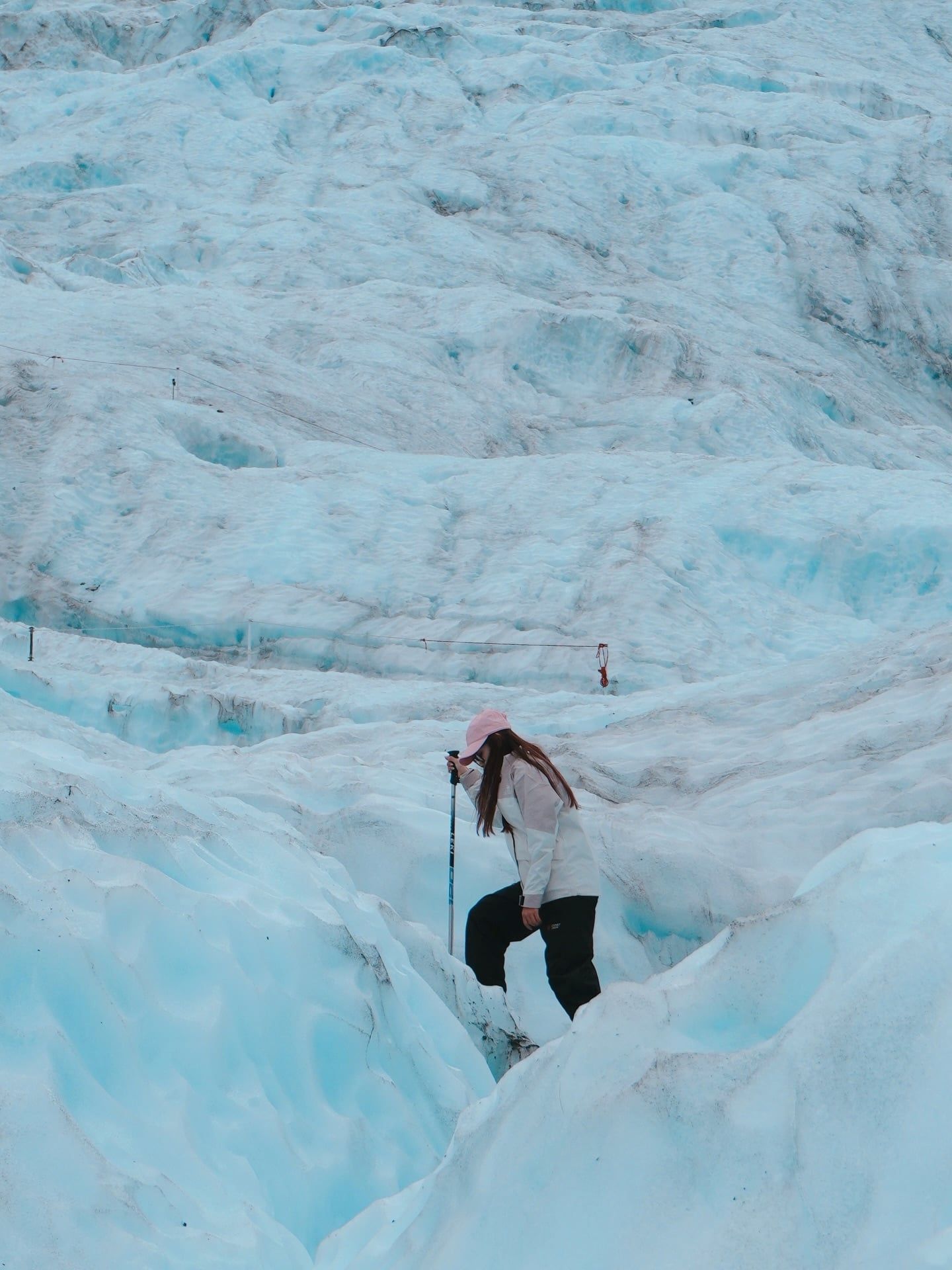Fox Glacier tour visitor photo