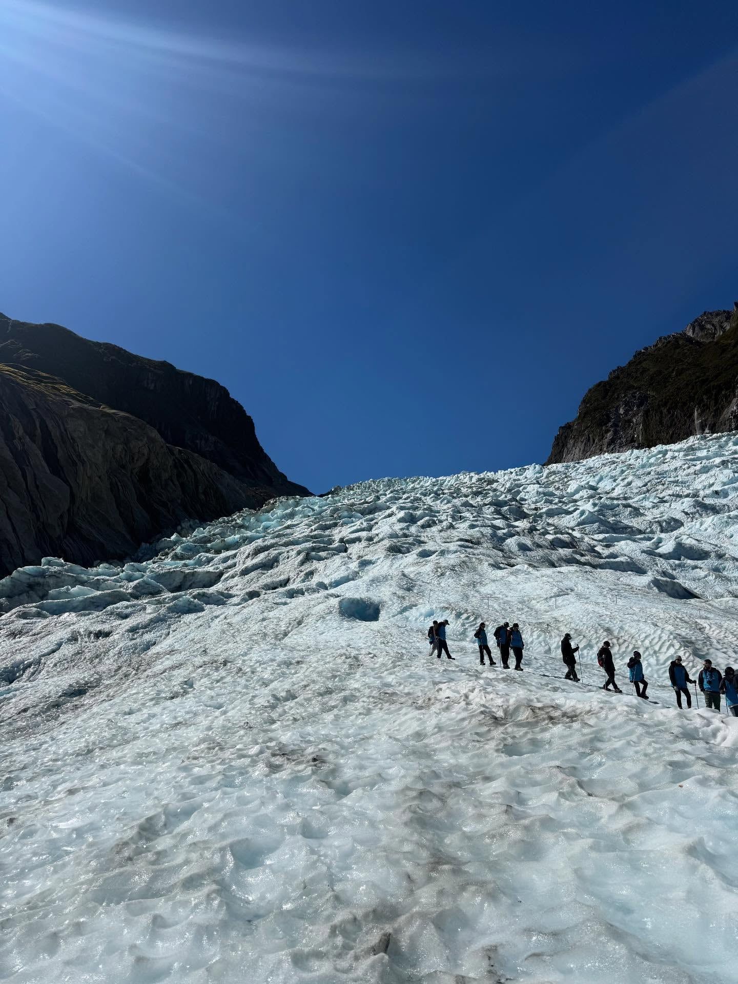 Fox Glacier tour visitor photo